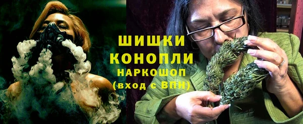 сатива Тында