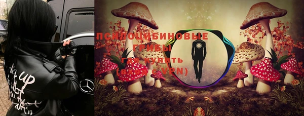 2c-b Михайловка